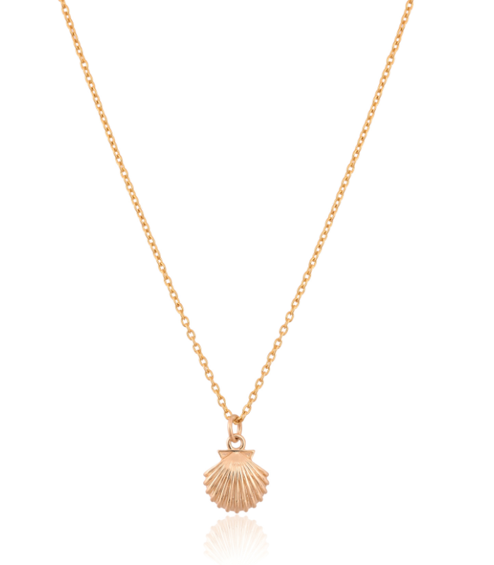 Pearl Shell Pendent