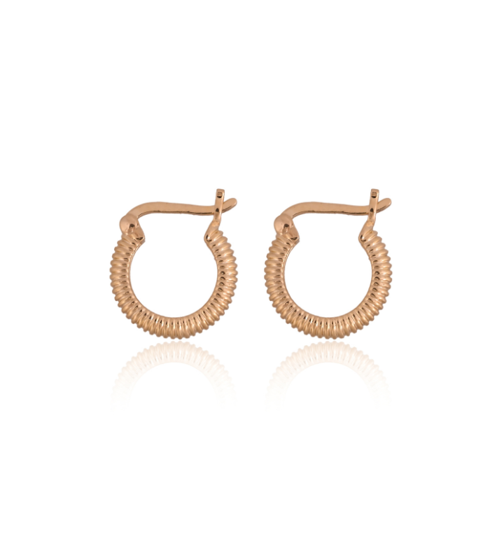Circle Shaped Earring