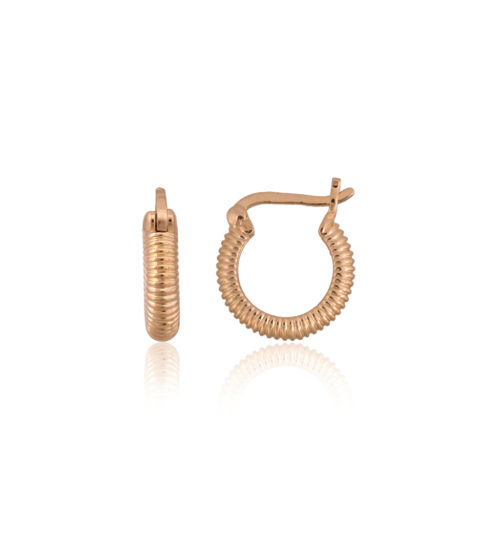 Circle Shaped Earring