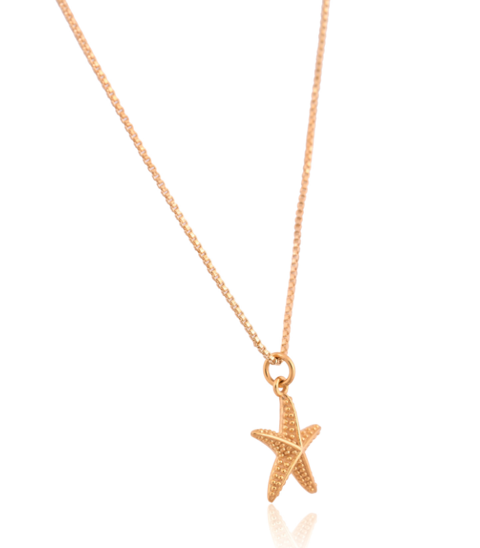 Star Pendent