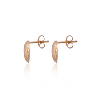 Oval Shaped Earring